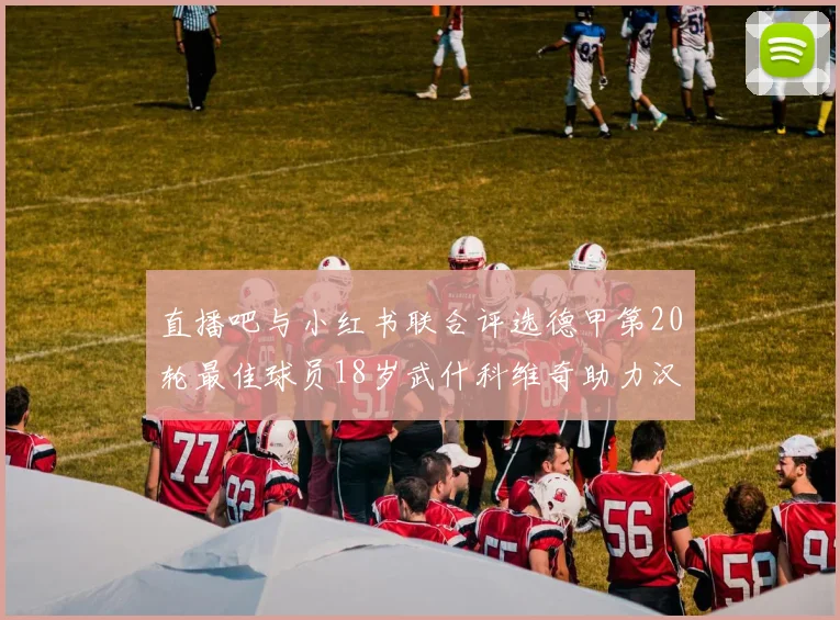 直播吧与小红书联合评选德甲第20轮最佳球员18岁武什科维奇助力汉堡逼平拜仁