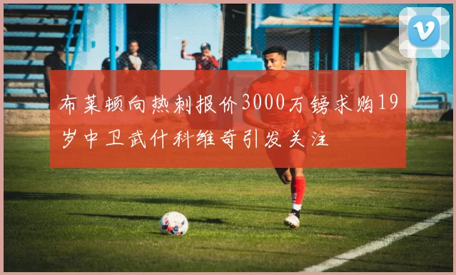 布莱顿向热刺报价3000万镑求购19岁中卫武什科维奇引发关注